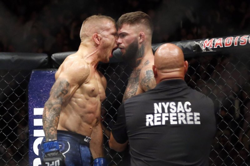 Dillashaw vs Garbrandt